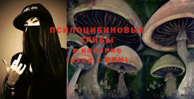 Псилоцибиновые грибы MAGIC MUSHROOMS  Отрадное 